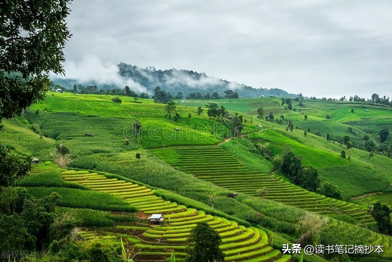 看电影学英语:《王牌特工1》经典台词?中英对照