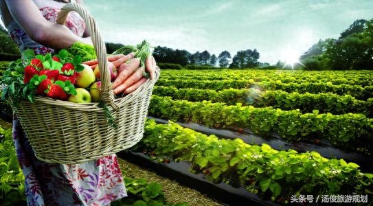 采摘园规划设计篇:做休闲采摘庄园要规避的六大“坑”