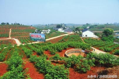 采摘园规划设计篇:做休闲采摘庄园要规避的六大“坑”