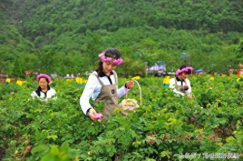 采摘园规划设计篇:做休闲采摘庄园要规避的六大“坑”