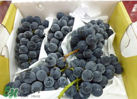 巨峰和夏黑哪个好吃?哪个贵?有什么区别?