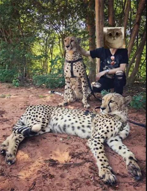 必杀技:200条朋友圈配文,轻松撩妹?限时赠送!