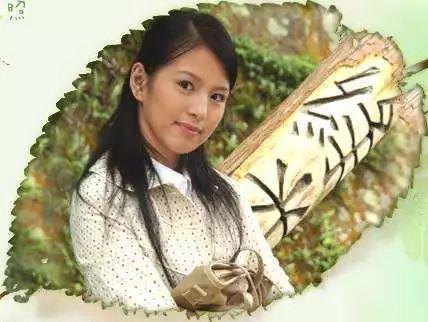 四部被翻拍的电视剧颜值好高?又是一部翻拍剧