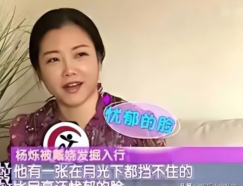 小包总杨烁主演的电视剧?杨烁主演的电视剧有哪些