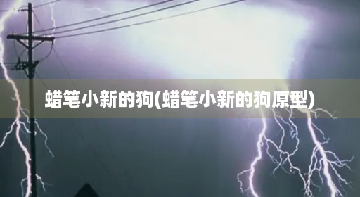 ​蜡笔小新的狗(蜡笔小新的狗原型)