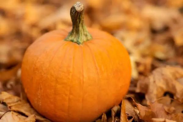 南瓜是碳水吗？南瓜要蒸多久