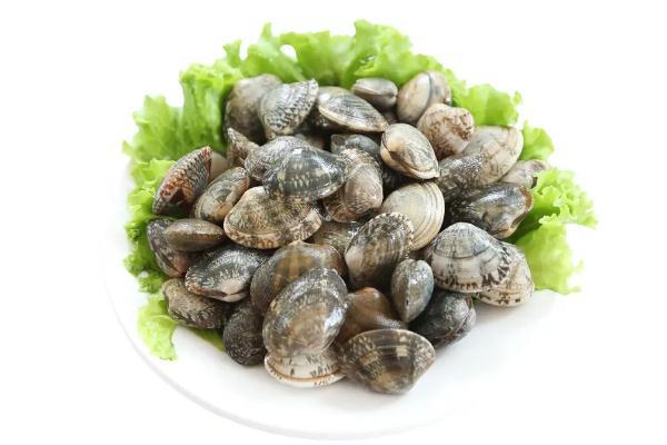 蛤蜊的功效与作用？蛤蜊怎么去泥沙