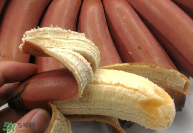 红香蕉好吃吗？红香蕉味道怎么样？