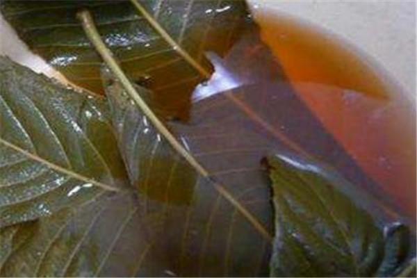 枇杷叶有毒吗？枇杷叶好吗