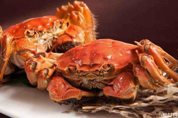 螃蟹怎么选好的？螃蟹怎么选公母