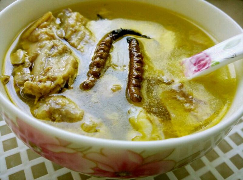滋补煲鸡汤正宗做法大全