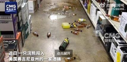 美国一浣熊大闹酒铺 偷喝烈酒后醉倒厕所 超萌姿态逗笑网友(图1)