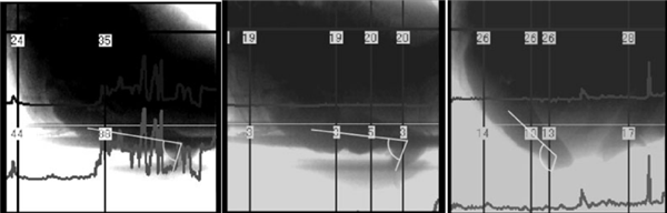 美国一浣熊大闹酒铺 偷喝烈酒后醉倒厕所 超萌姿态逗笑网友(图3)