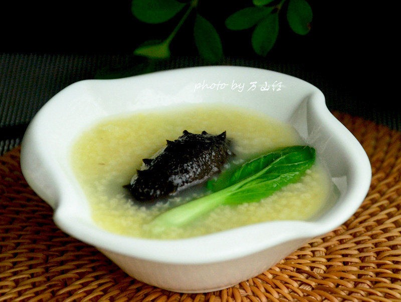 海参虾皮粥做法详解:配料与步骤全攻略