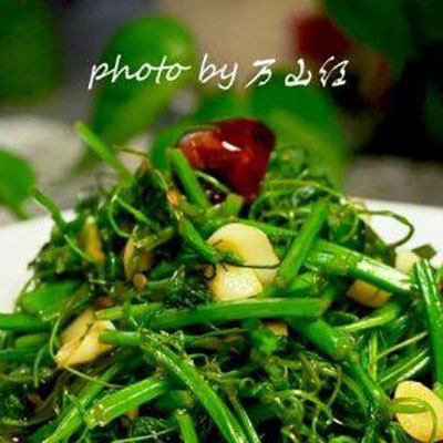 蒜香地瓜苗家常做法,正宗风味轻松学