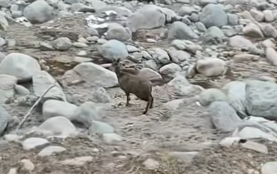 全球首款!PACK换电电动船舶“河豚蔚蓝02”正式发布(图2)