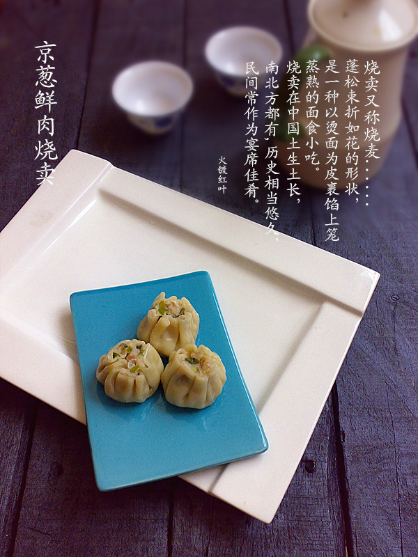 京葱鸡肉串十种正宗做法，美味升级一学就会