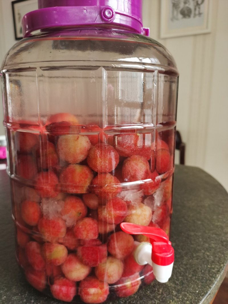 鲜香鱼汤秘诀：配料与做法全解析