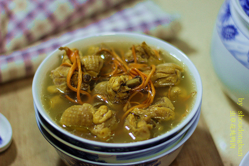 虫草花炒肉十种家常美味做法,轻松学做