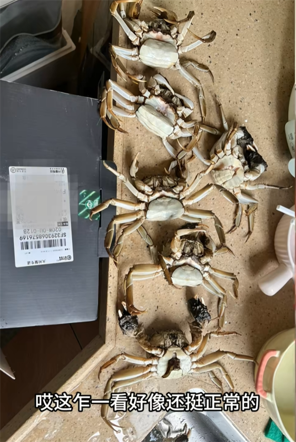 顾客AI合成死螃蟹要求退款 最新进展来了：被拘8日 195元全额追回(图2)