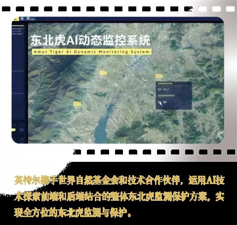 Intel中国整整40年了!揭开你不熟悉的另一面(图3)