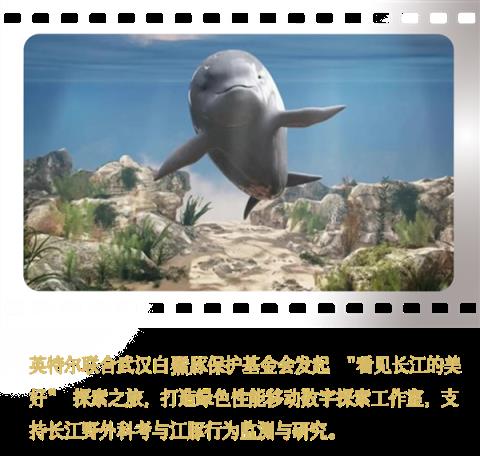 Intel中国整整40年了!揭开你不熟悉的另一面(图4)