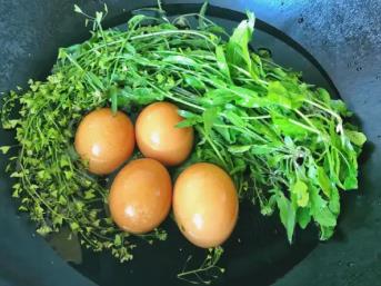 三月三煮鸡蛋治头晕有根据吗