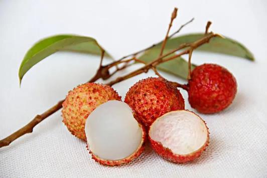 吃荔枝能测出来酒驾吗