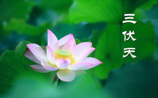 2024三伏天是几号到几号