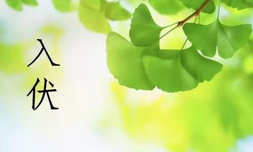 2024年入伏时间和出伏时间