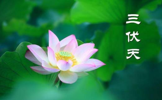 2024年三伏天是什么时间到什么时间