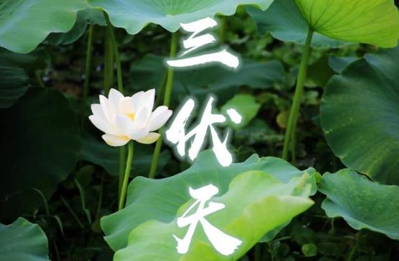 2024初伏中伏末伏分别是几月几日