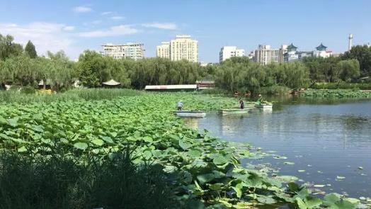 2024年北京8月份适合旅游吗