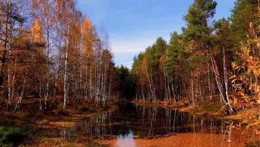 2024年中秋节热不热