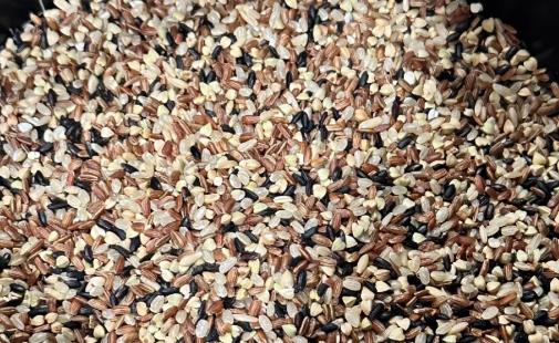 三色糙米好为什么不建议吃