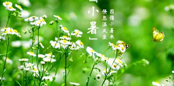 2024年小暑是几月几号