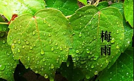 南京6月份是梅雨季节吗