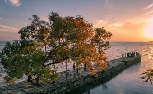 2024年苏州夏天温度最高能达到多少度