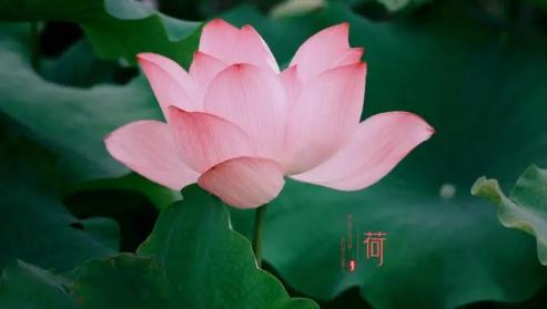 2024年夏至之后天气会更热吗