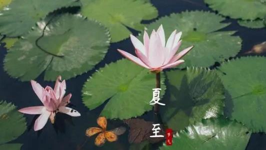 2024年夏至后雨水会多吗