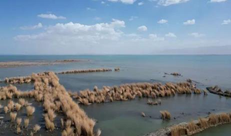 2024年6月份去新疆玩北疆还是南疆