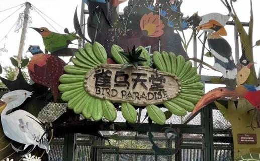 武汉野生动物王国停车方便吗