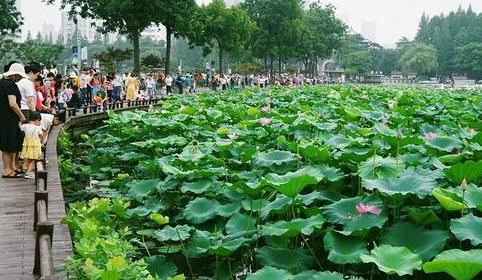 2024年苏州夏天热还是南京夏天热