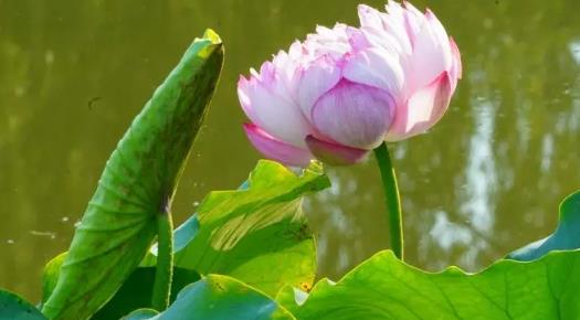 南京2024年什么时候入夏