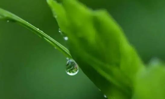 2024年南京五月份雨水多吗