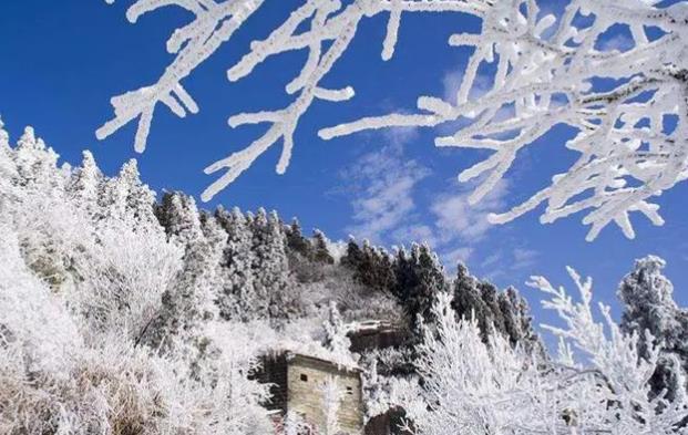 2024年出九是哪一天