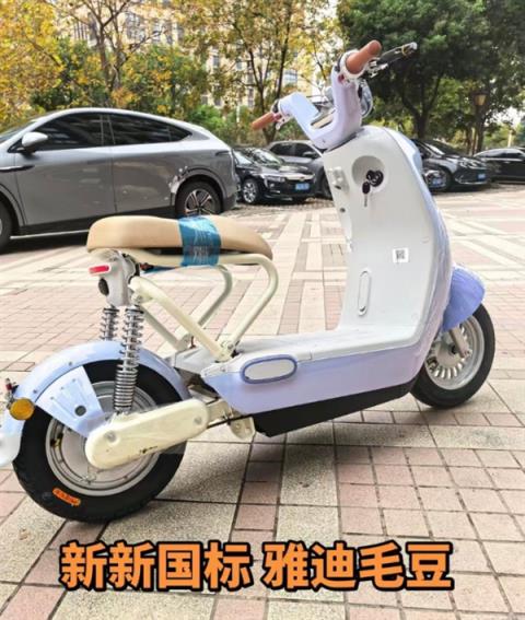 公开道歉后 雅迪争议新国标电动车“毛豆”已下架(图1)