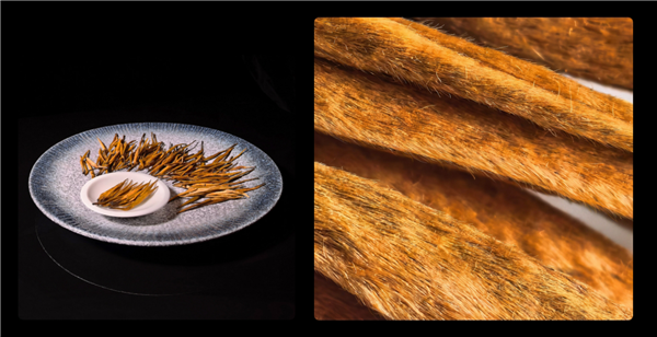 爆款预定!华为Mate X7开售来袭:智能体验+可靠重构折叠屏天花板