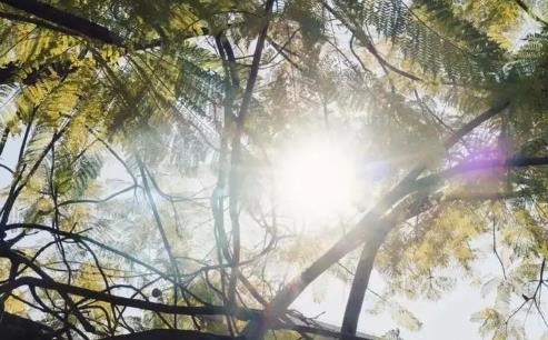 2025五一后东北冷热？气温异常引热议