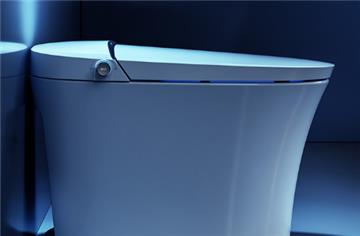 马桶出现很多小黑点怎么回事?如何彻底清除马桶黑斑